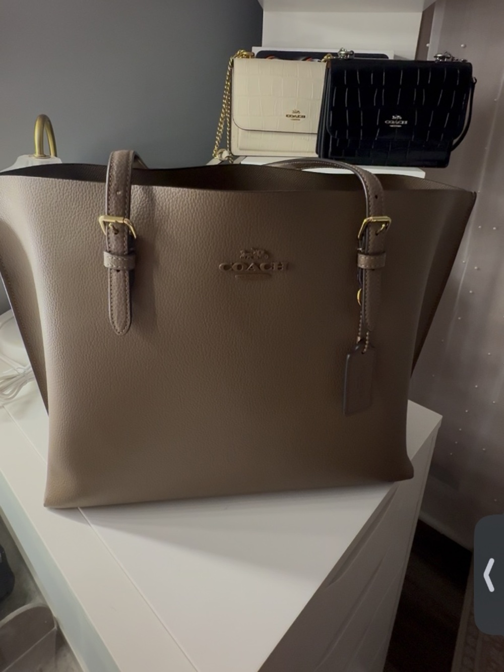 Coach Outlet Mollie Tote Bag